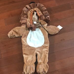 Lion Costume